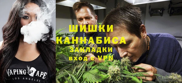 PSILOCYBIN Алзамай