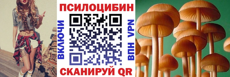 Галлюциногенные грибы MAGIC MUSHROOMS  Сясьстрой 