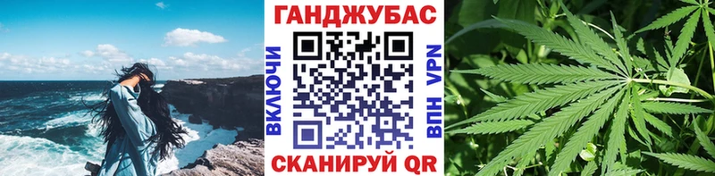 Бошки Шишки семена  мега как зайти  Сясьстрой 
